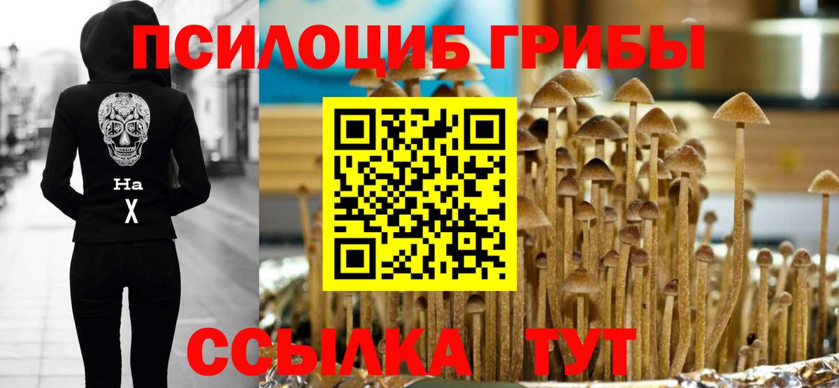 Галлюциногенные грибы MAGIC MUSHROOMS Новый Уренгой