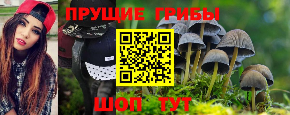 Псилоцибиновые грибы MAGIC MUSHROOMS  Галлюциногенные грибы Magic Shrooms  Вход с VPN  Новый Уренгой 